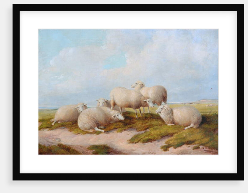 Sheep by Thomas Sidney (style of) Cooper