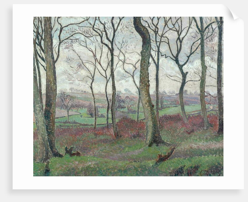 The Dunmow Road from Tilty Wood, 1915 by Lucien Pissarro