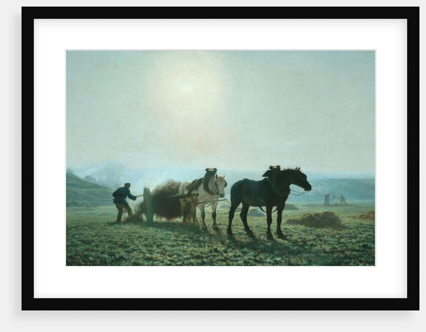 Horses in a Field, 1873 by Jules Leon Montigny