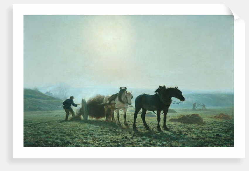 Horses in a Field, 1873 by Jules Leon Montigny