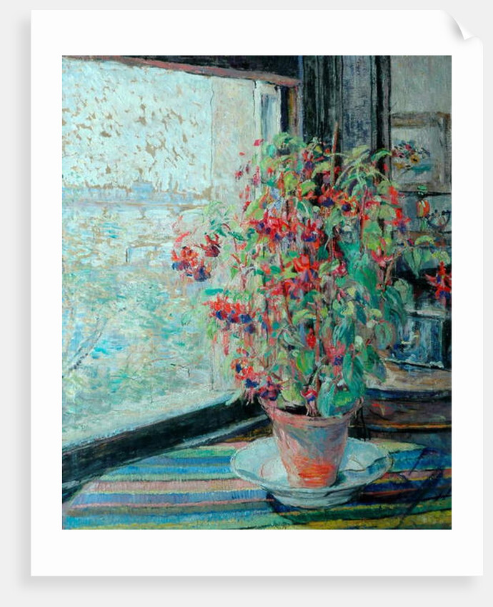 Fuchsias by Louise Pickard