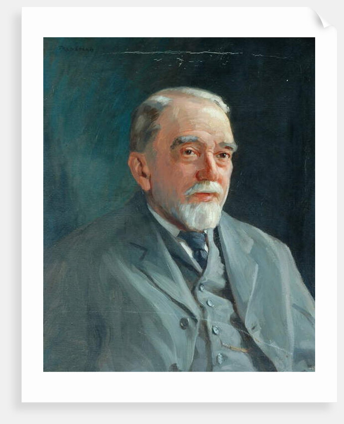 Alderman H. S. Brigg by Frederick Stead