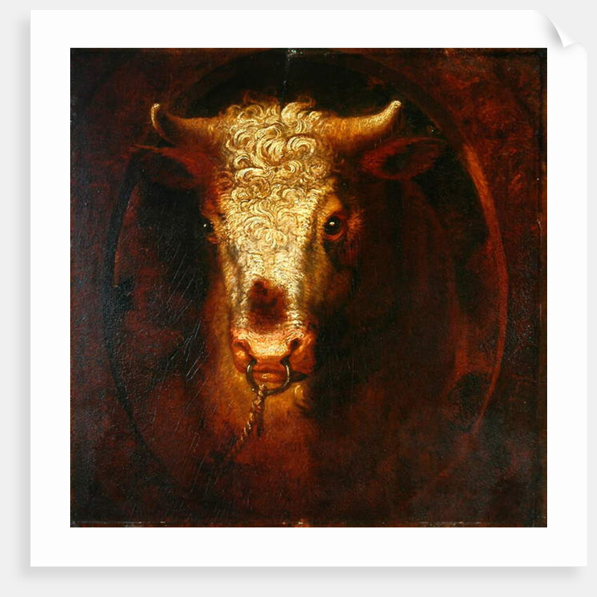 The Bull's Head by William Overend Geller