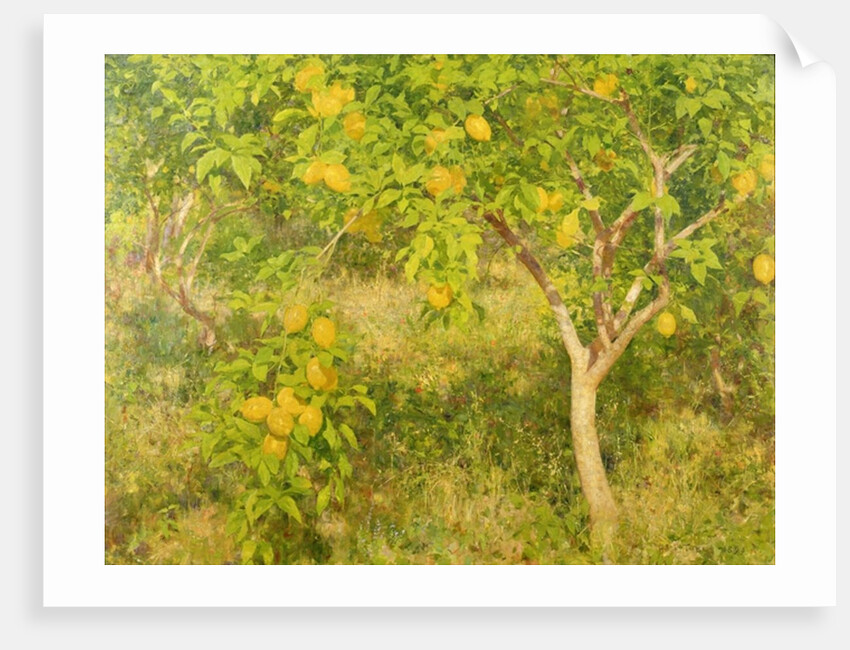 The Lemon Tree, 1893 by Henry Scott Tuke