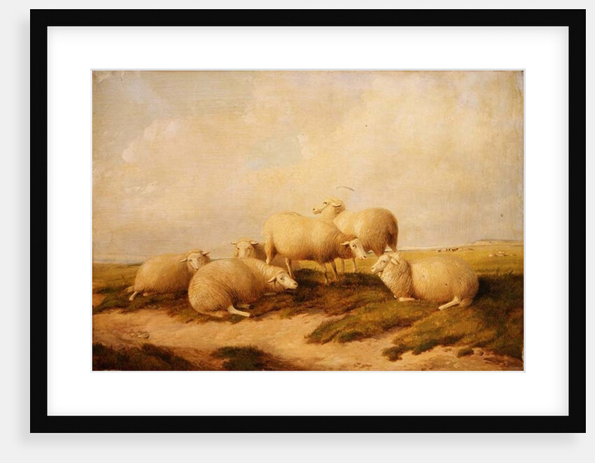 Sheep by Thomas Sidney Cooper