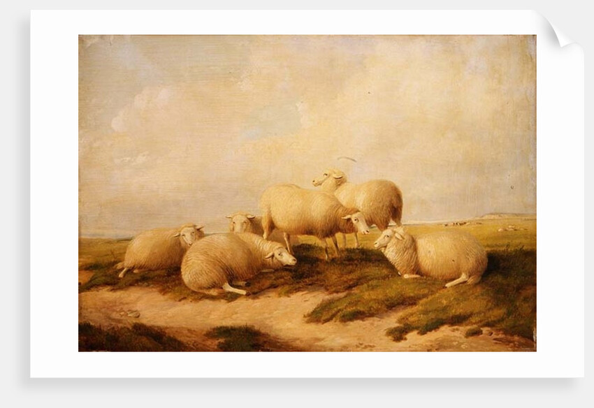 Sheep by Thomas Sidney Cooper