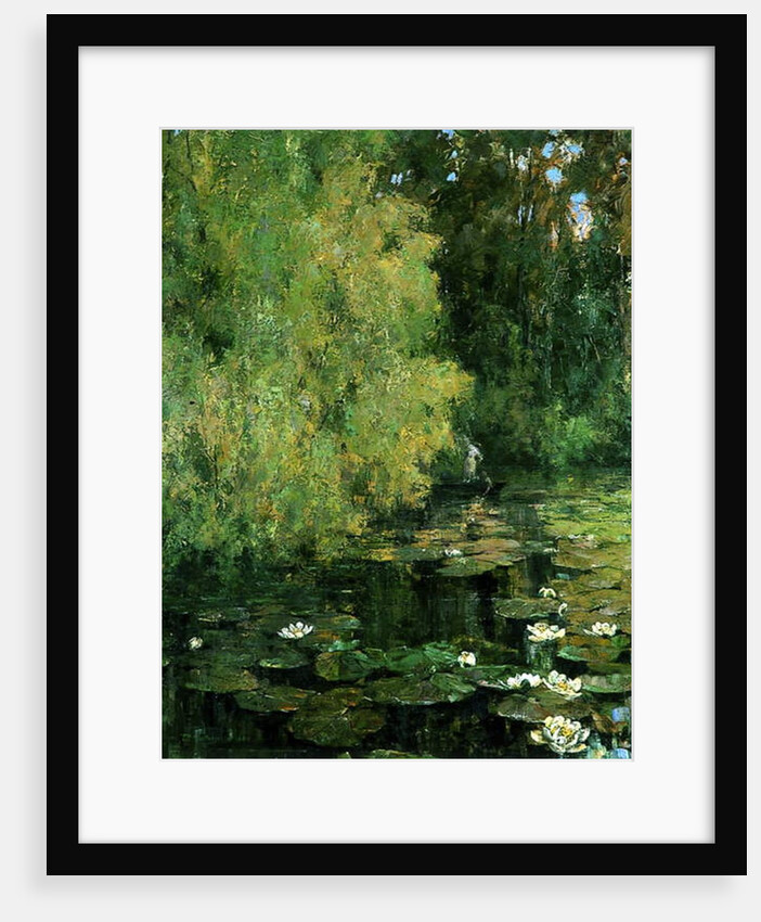 The Lily Pool, 1905 by Tom Clifton Butterfield