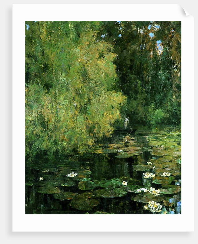 The Lily Pool, 1905 by Tom Clifton Butterfield