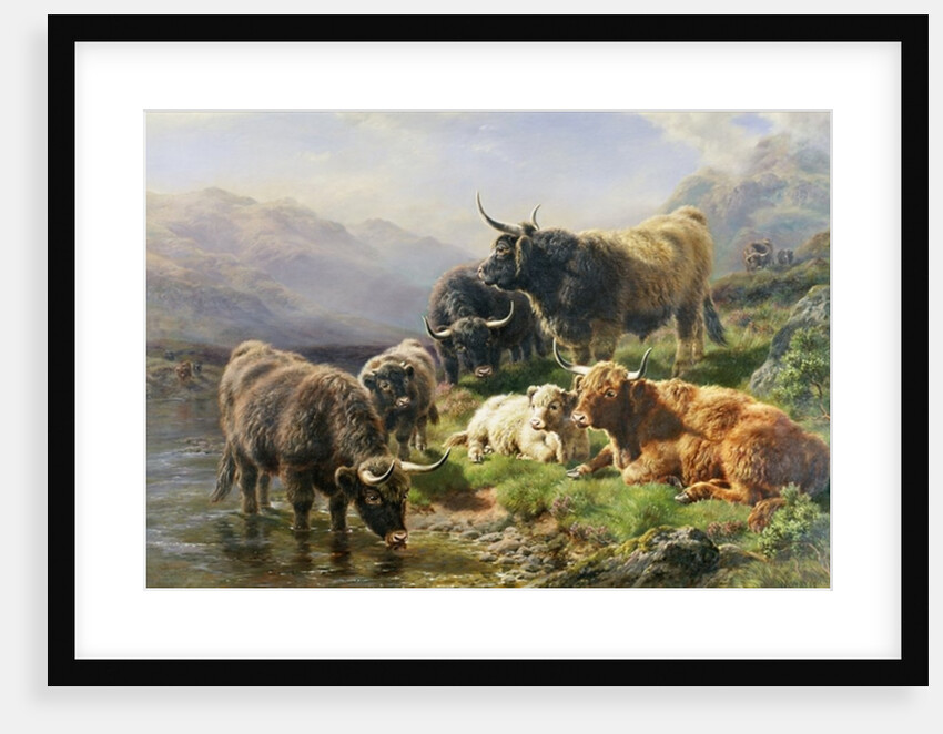 Highland Cattle by William Watson