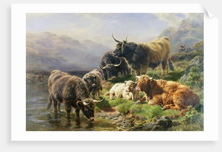Highland Cattle by William Watson
