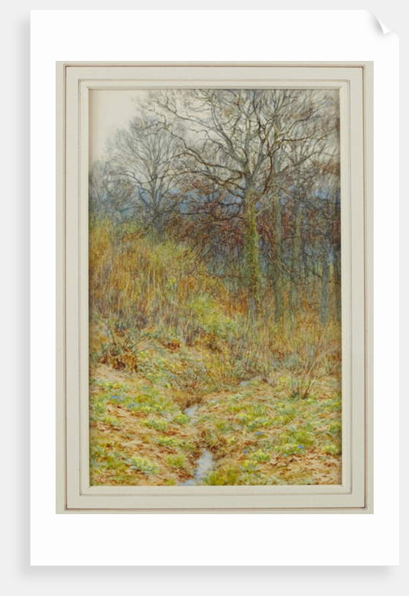 Our Primrose Wood, 1913 by Helen Allingham