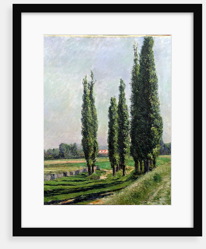 Poplars on the Riverbank at Argenteuil by Gustave Caillebotte