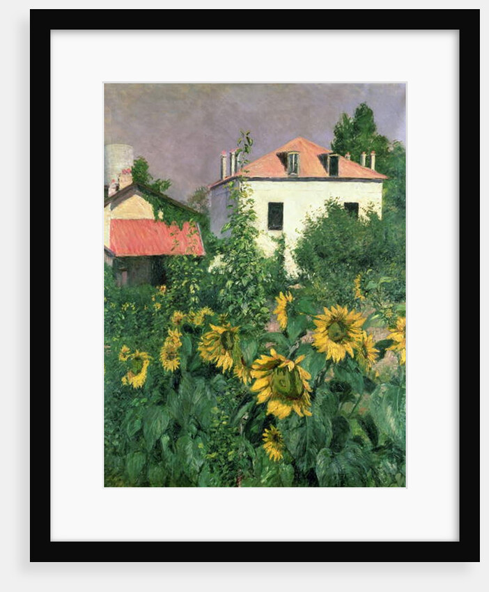 Sunflowers in the Garden at Petit Gennevilliers by Gustave Caillebotte