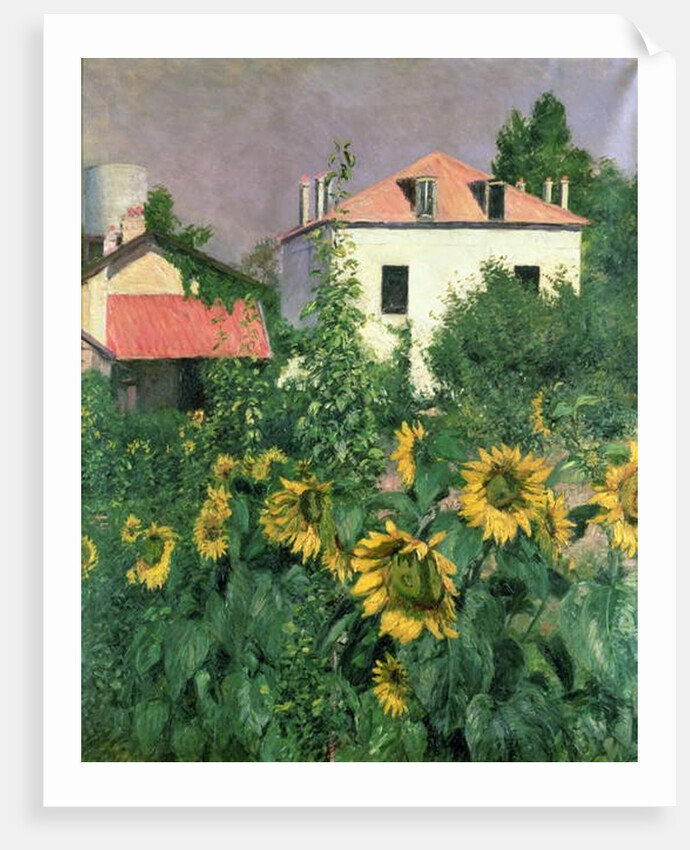 Sunflowers in the Garden at Petit Gennevilliers by Gustave Caillebotte