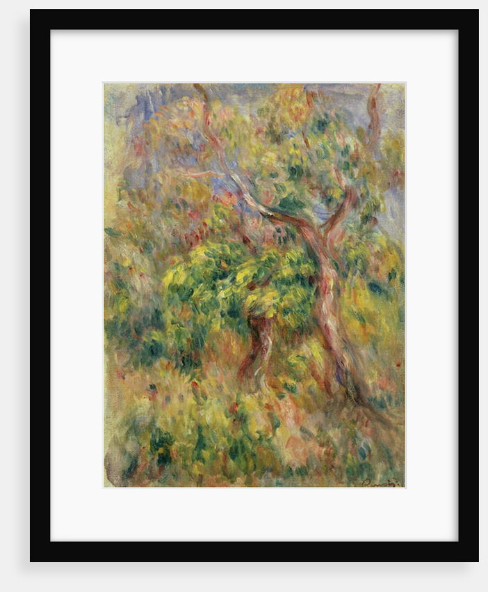 Trees, 1915-16 by Pierre Auguste Renoir