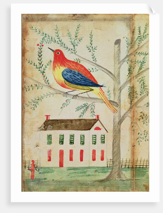 House and Bird in a Tree by School American