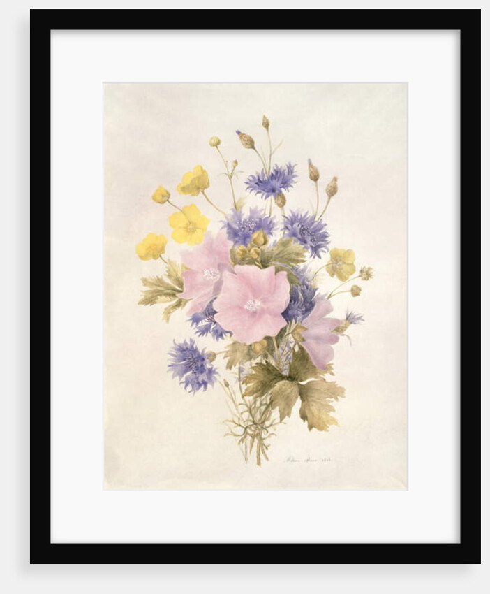 Field Flowers, 1842 by French School