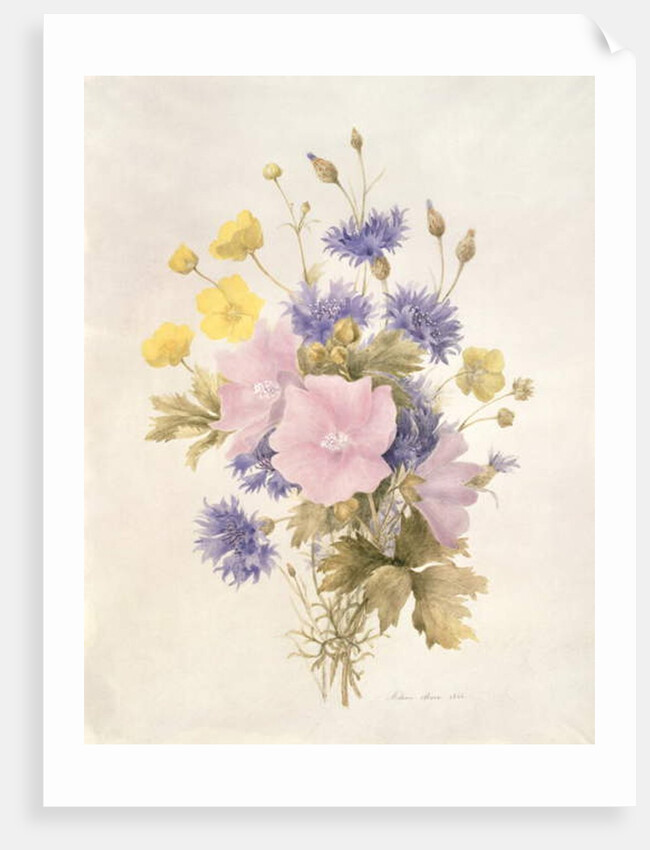 Field Flowers, 1842 by French School