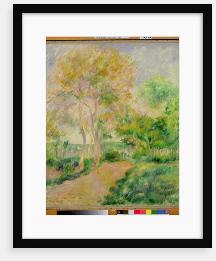 Summer by Pierre Auguste Renoir