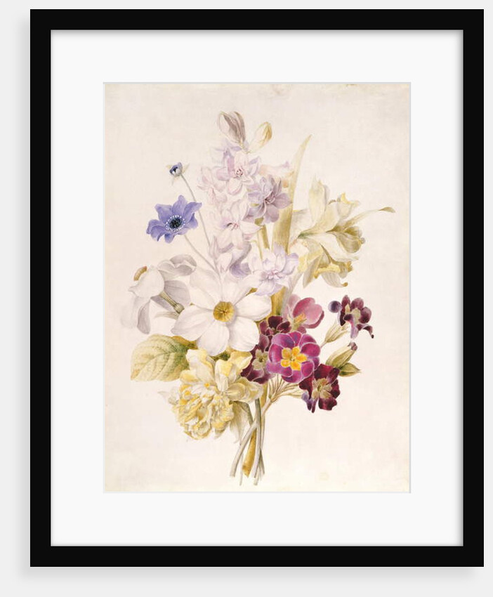 Narcissus and other Flowers, 1840 by French School