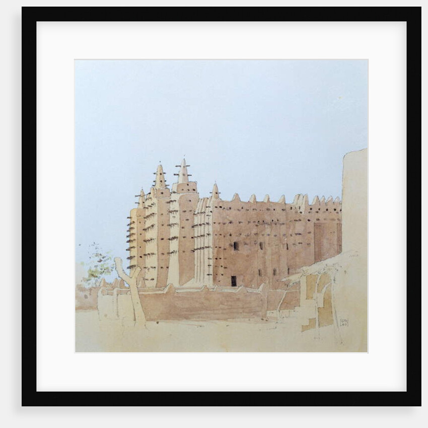 Bird by School American