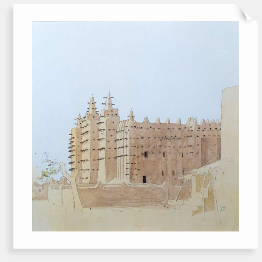 Bird by School American