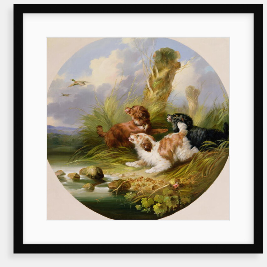 Three Spaniels Flushing Mallard by George Armfield