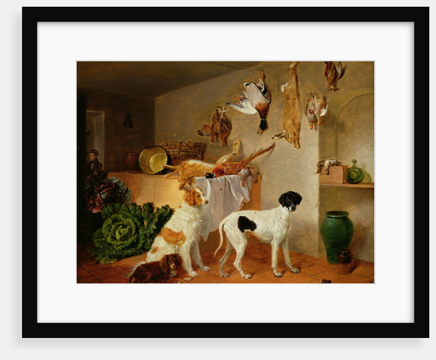 Inside the Game Pantry by Edmund Bristow