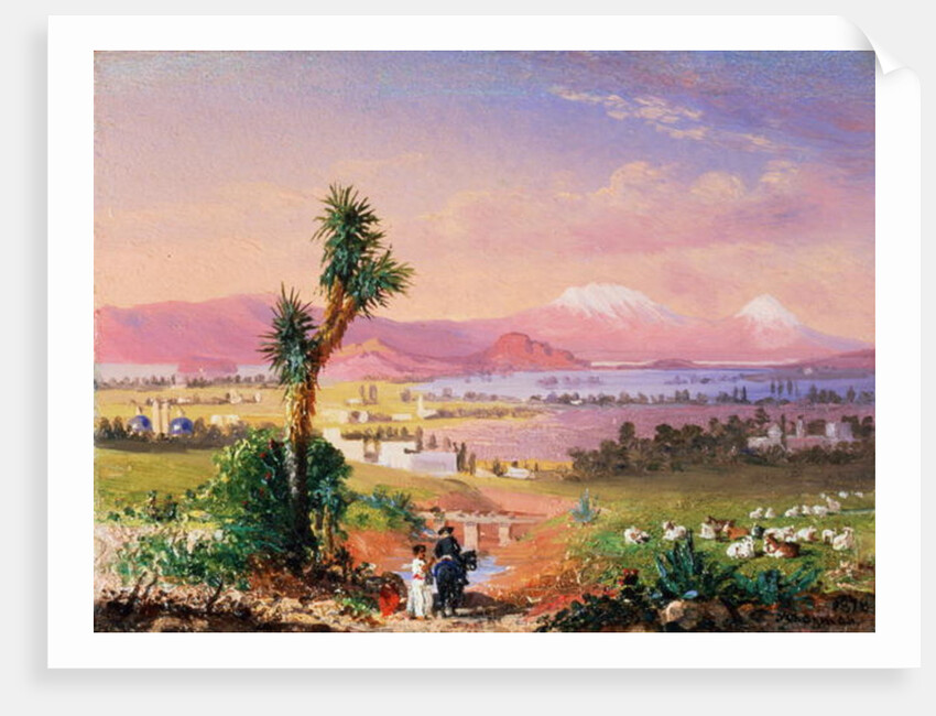A View of Mexico City, 1878 by Conrad Wise Chapman