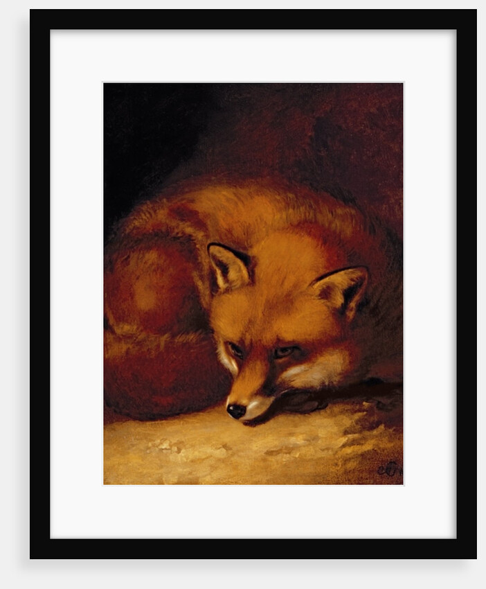 A Fox, 1817 by Abraham Cooper