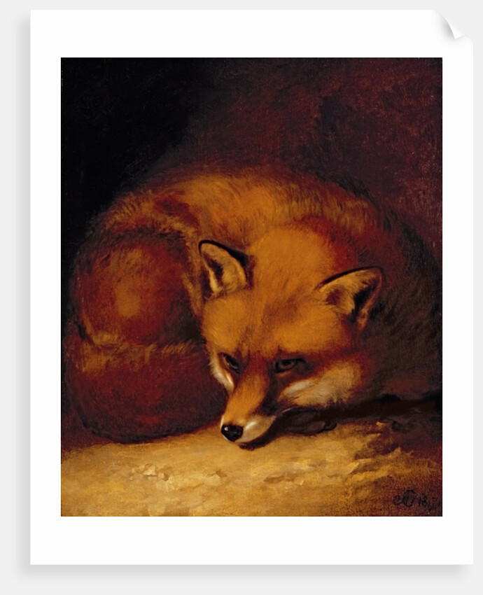A Fox, 1817 by Abraham Cooper
