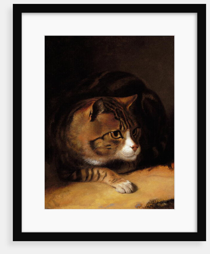 A Tabby Cat, 1817 by Abraham Cooper