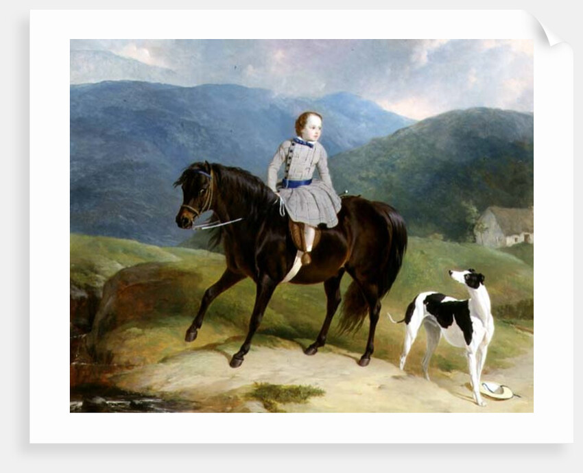 Master Edward Coutts Marjoriebanks on his Pony, c.1851 by Abraham & Webster Thomas Cooper