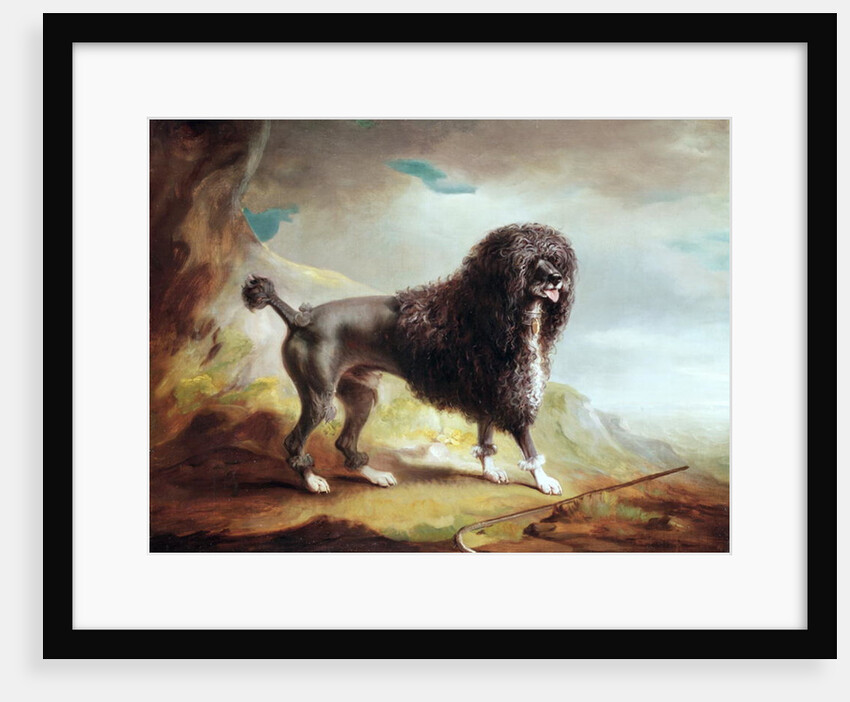 A Clipped Water Spaniel by John E. Ferneley