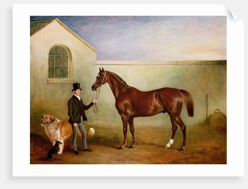 Mr Meakin holding Sir Robert Peel's Chestnut Hunter with his dogs 'Hector' and 'Jem', 1853 by John E. Ferneley