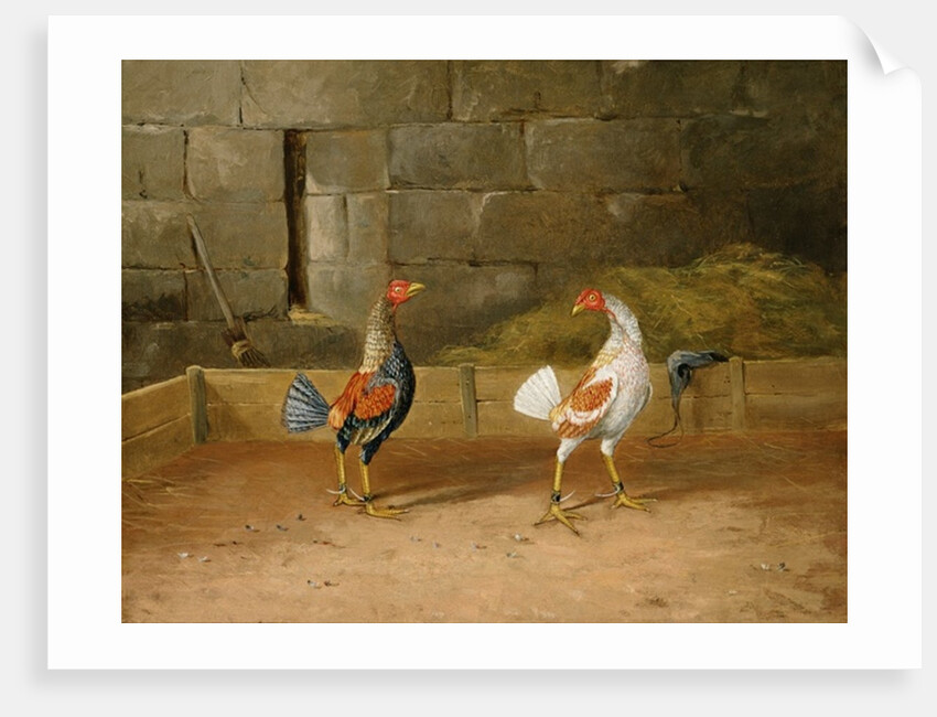 The Challenge by Hilton L. Jnr. Pratt