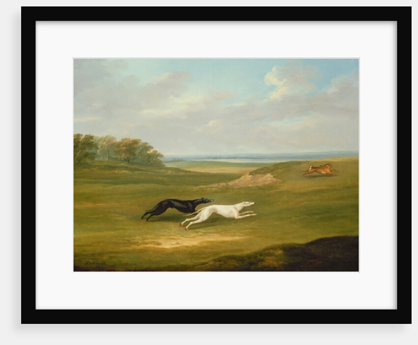Running, a Coursing Scene, 1816 by John Nost Sartorius