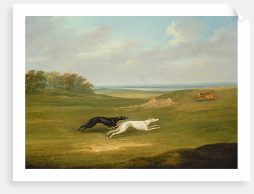 Running, a Coursing Scene, 1816 by John Nost Sartorius