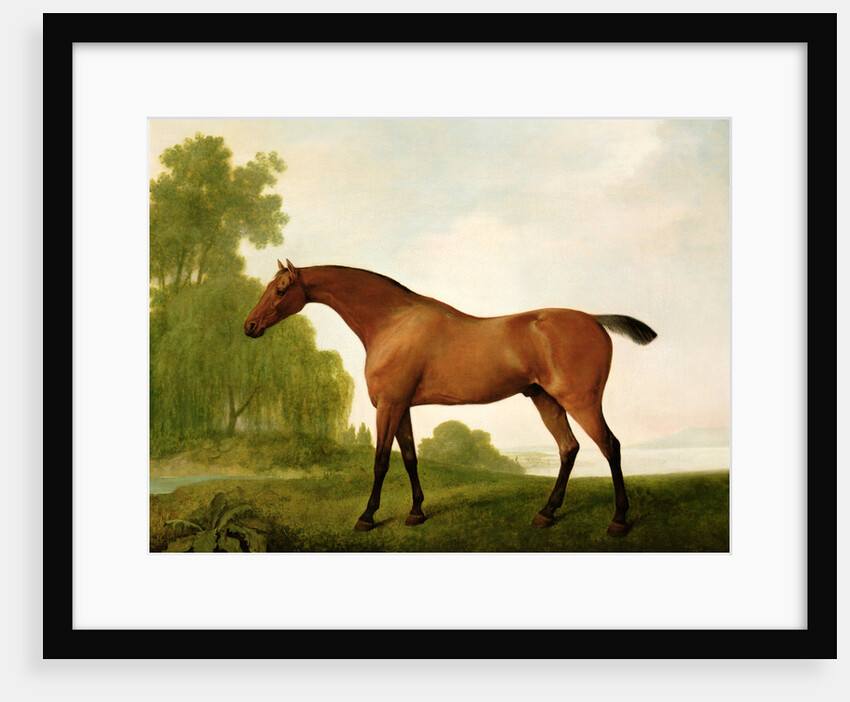 A Bay Thoroughbred in a Landscape, 1801 by George Stubbs