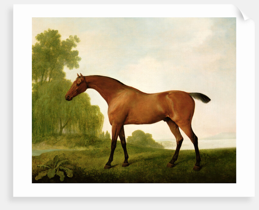 A Bay Thoroughbred in a Landscape, 1801 by George Stubbs