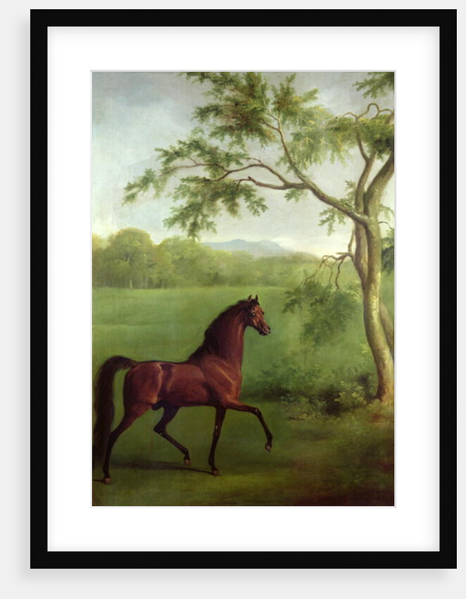 An Arabian Stallion beneath a Tree, c.1761-63 by George Stubbs
