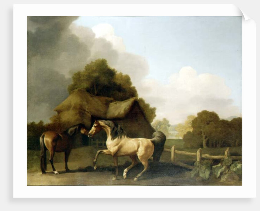 A Roan Stallion and a Bay Mare, 1769 by George Stubbs