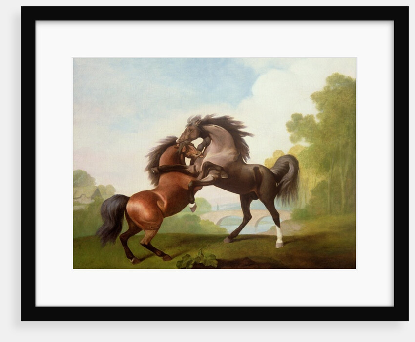 Horses Fighting, 1791 by George Stubbs