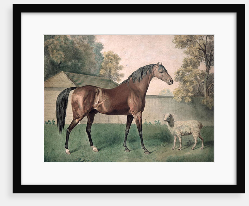 Dungannon by George Townley Stubbs