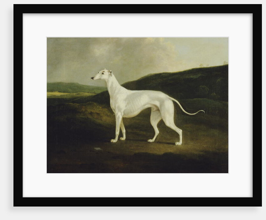 A Greyhound in a Landscape, 1817 by Charles Henry Schwanfelder