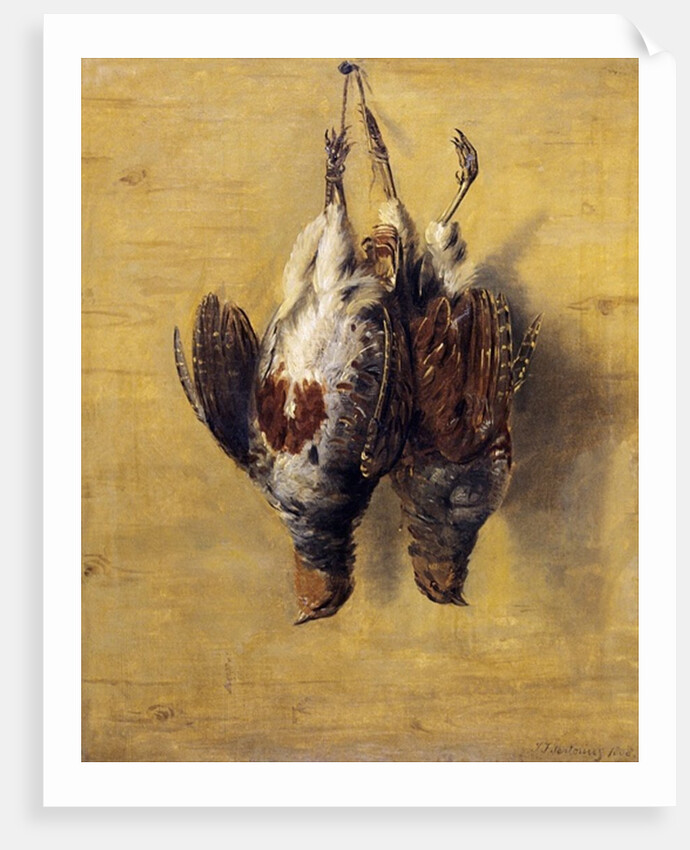 Brace of English Partridge, 1808 by J. Francis Sartorius