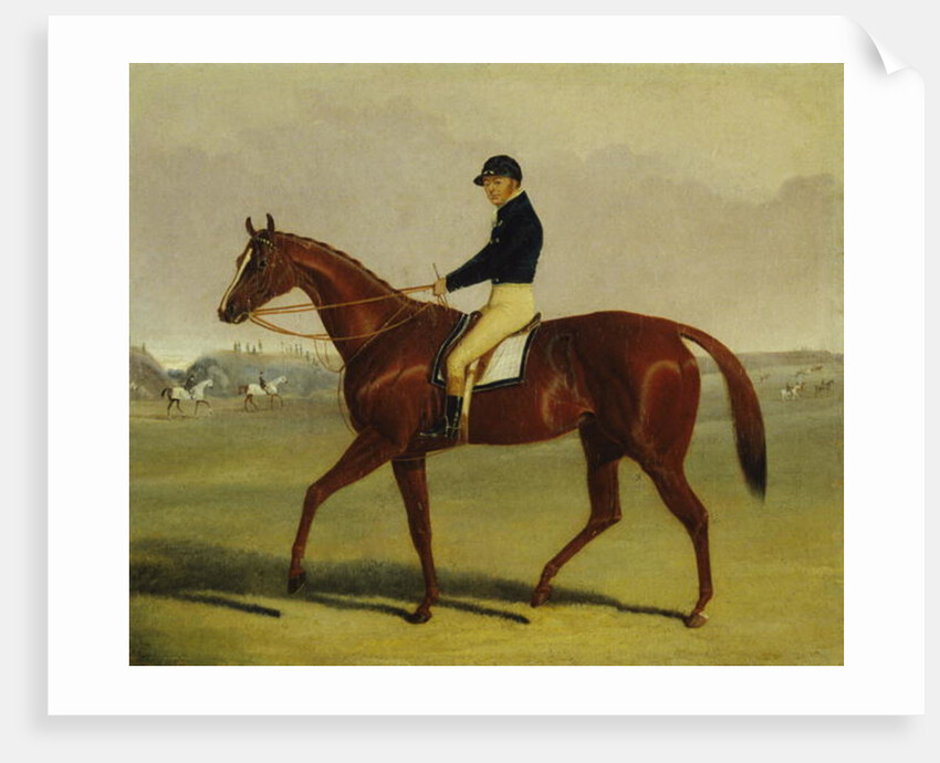 Preserve with Flatman Up at Newmarket, 1835 by John Frederick Herring Jnr
