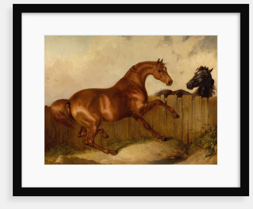 Stallion and Mare by Thomas Woodward