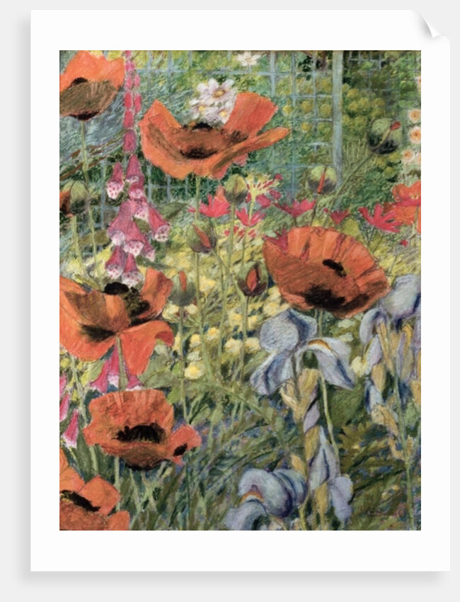 Orientals by Rosalie Bullock