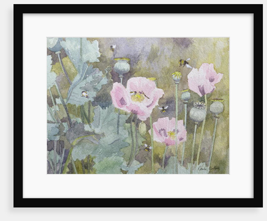 Pink poppies with bees by Rosalie Bullock